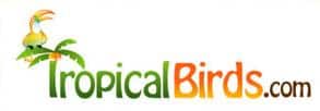 tropical birds tropical birds