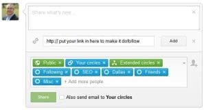 googleplus-insertdofollowlinkhere