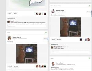 google plus algorithm example