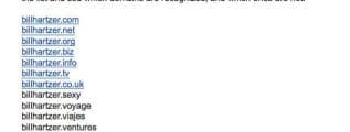 gmail not recognizing new gTLD domain names