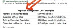 featured snippet spelling mistake