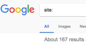 Google pages indexed