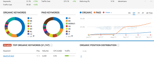 business.site semrush overview