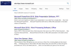 site:https://www.microsoft.com search query