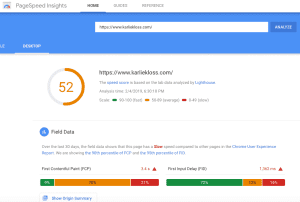 Karlie Kloss website google pagespeed insights