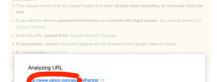 google removal tool