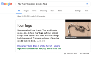 How many legs does a snake have?