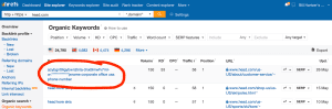 head.com example keyword