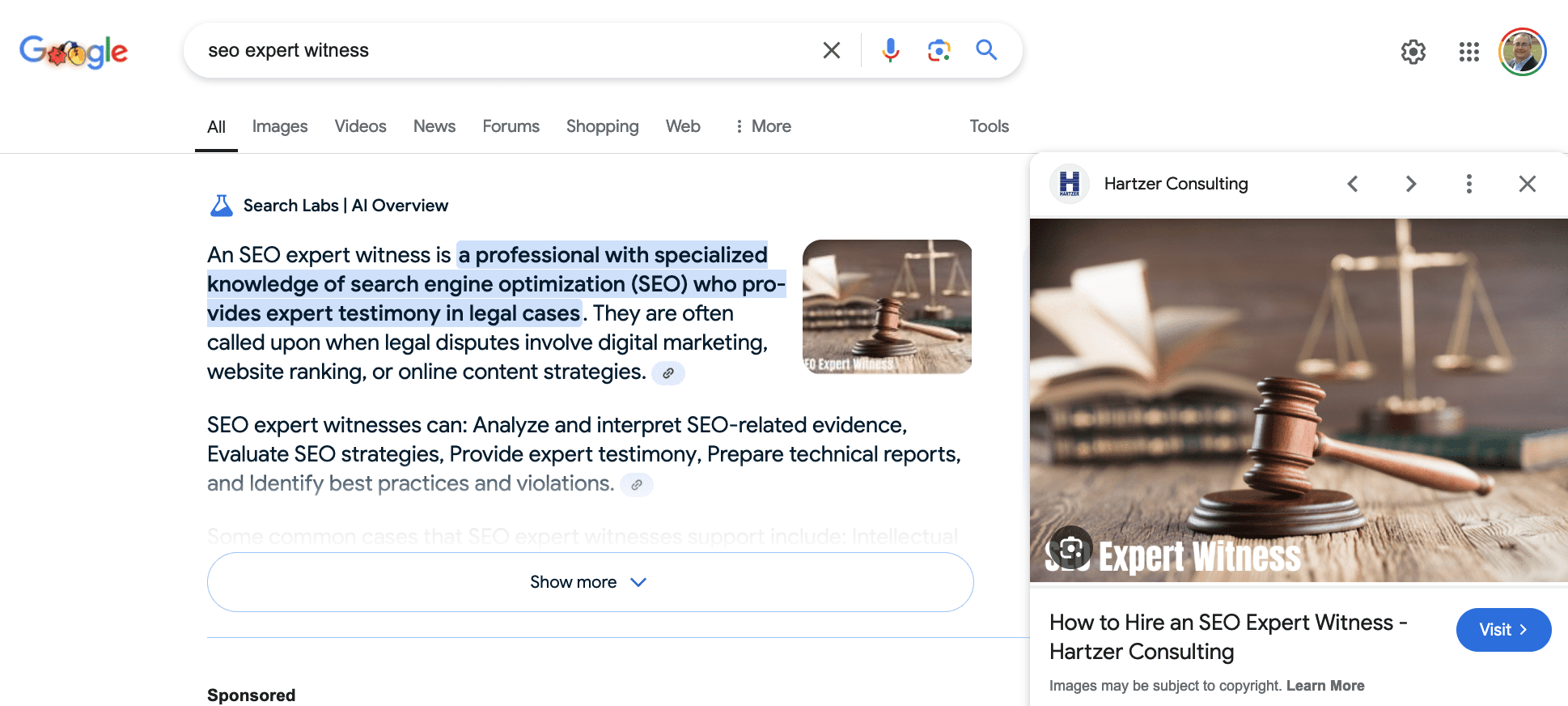 Google Ai Overview for search query "seo expert witness", showing image results on right.